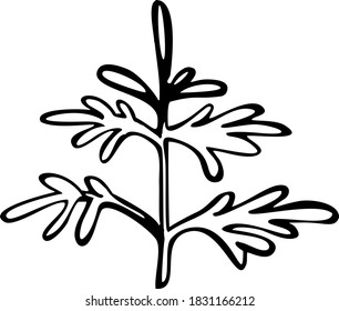 little, young fir-tree, hand draw sketch, black and white illustration