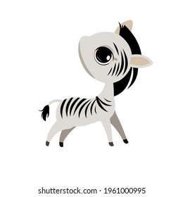 Little zebra cub. Isolated object on a white background. Cheerful kind animal child. Cartoons flat style. Funny. Vector