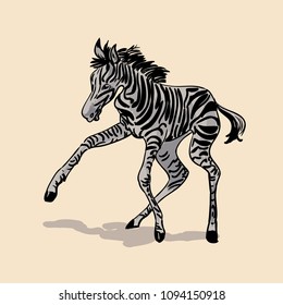 Little zebra is playing. Vector illustration isolated on background. Print for kids, fabric, textile