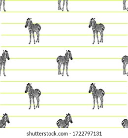 Little zebra seamless pattern. Vector illustration design for fashion fabrics, 
animal textile graphics, prints, wallpapers and other uses.