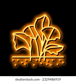 live aquatic plant aquarium fish neon light sign vector. live aquatic plant aquarium fish illustration