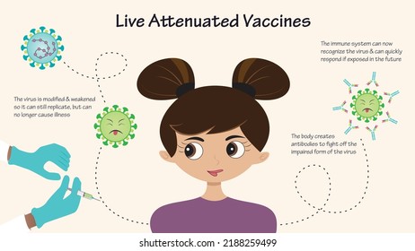 Live Attenuated Vaccine infographic diagram