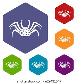 Live crab icons set hexagon isolated vector illustration