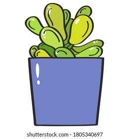 Live Cute Green Succulent, house plant in violet pot vector illustration