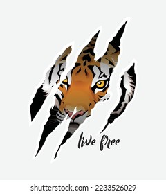 Live free slogan with tiger face in claw mark for t-shirt vector illustration.