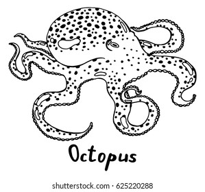 Live octopus with tentacles. Hand drawn isolated illustration with the inscription on a white background