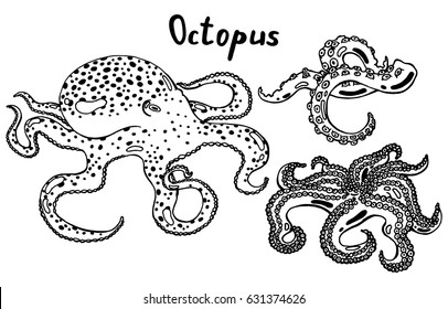 Live octopus, octopus tentacles with suckers. The sea monster. Hand drawn isolated illustration with the inscription on a white background