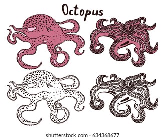 Live octopus with tentacles with suckers. Sea monster. Side view and bottom view. Hand drawn isolated illustration set with the inscription on a white background