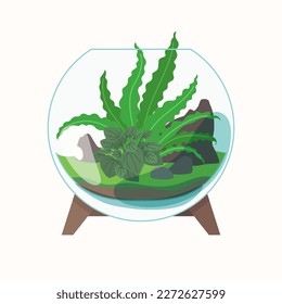 Live plants are planted in a glass container. The illustration depicts a terrarium for plants. Vector image.