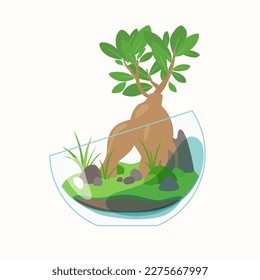 Live plants are planted in a glass container. The illustration depicts a terrarium for plants. Vector image.