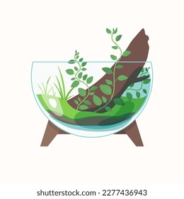 Live plants are planted in a glass container. The illustration depicts a terrarium for plants. Vector image.