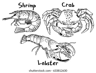 Live shrimp, crab and lobster with claws and scales. Hand drawn isolated illustration set with the inscription on a white background