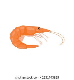 Live shrimp in shell or boiled shrimp in cartoon style. Icon or badge for Asian food and seafood