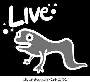 Live small animal