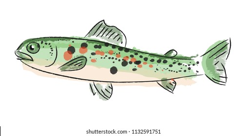 live small trout
