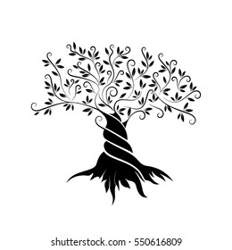 live tree outline curl silhouette icon isolated on white background. Web graphics stroke modern vector sign. Premium quality illustration logo design concept pictogram.