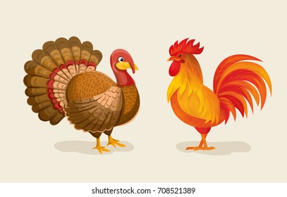 Live turkey and cock.  Vector illustration of birds.