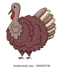 Live turkey. Poultry. The symbol of Thanksgiving. Design element with outline. Doodle, hand-drawn. Flat design. Color vector illustration. Isolated on a white background