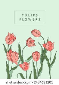 Live vector illustration tulips silhouette contour petals leaves summer spring botany clipart women's day, mother's, wedding invitation, template, greeting card, floral design, flowers, plants