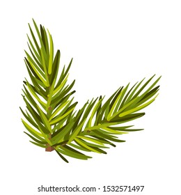 Lively Green Spruce Twig Vector Illustration Isolated On White Background