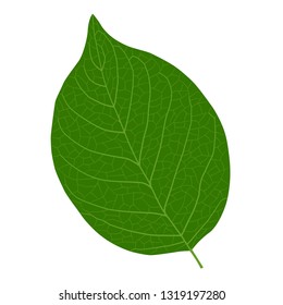 Lively leaf illustration material