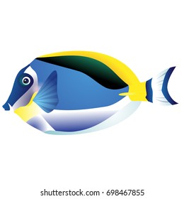 Lively, realistic fish
