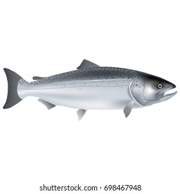 Lively, realistic fish