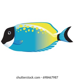 Lively, realistic fish