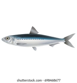 Lively, realistic fish