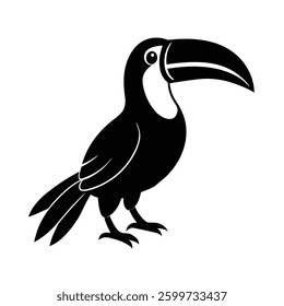  A lively-toucan on white background