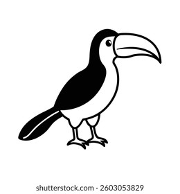  A lively-toucan on white background