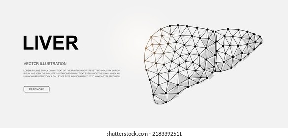Liver 3d low poly symbol for landing page template. Hepatitis design illustration. Polygonal Organ anatomy illustration for homepage design, adv page