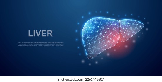 Liver 3d low poly symbol with pain center for landing page template. Liver pain design illustration concept. Polygonal organ illustration