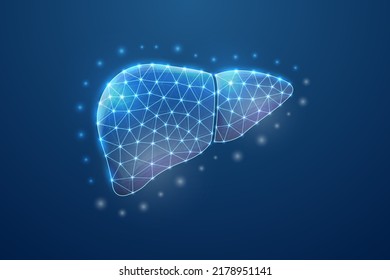 Símbolo del hígado 3d en azul bajo de poli. Hepatitis, ilustración del concepto de trasplante humano. Anatomía de órganos y alambre poligonal.