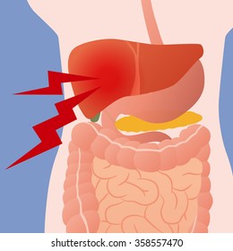 Liver ache and human digestive organs, vector illustration