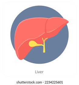 Concepto de ícono de hígado y anatomía