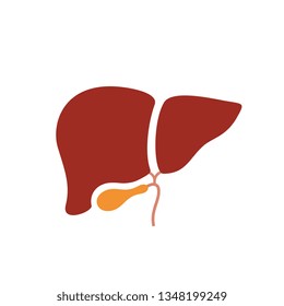 Liver anatomy vector icon on white background