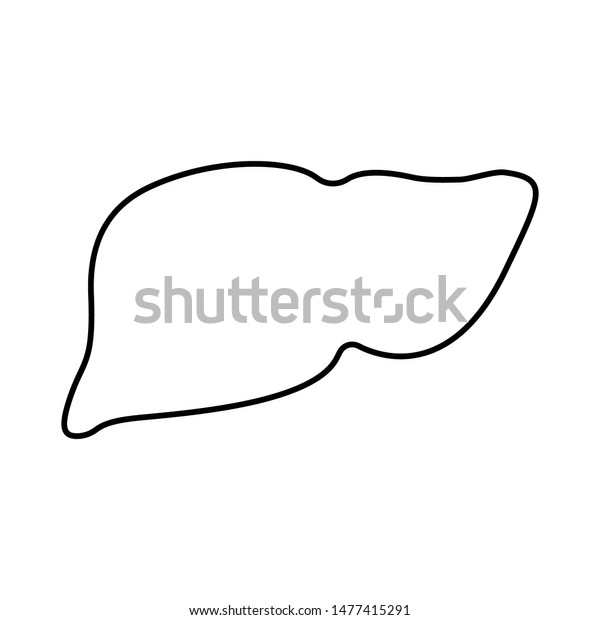 Liver Black On White Background Vector Stock Vector (Royalty Free ...