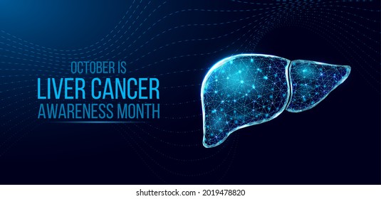 Liver cancer awareness month concept. Banner template with glowing low poly wireframe liver. Futuristic modern abstract. Isolated on dark background. Vector illustration.