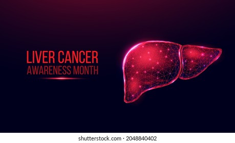 Liver cancer awareness month concept. Banner template with glowing low poly wireframe liver. Futuristic modern abstract. Isolated on dark background. Vector illustration.