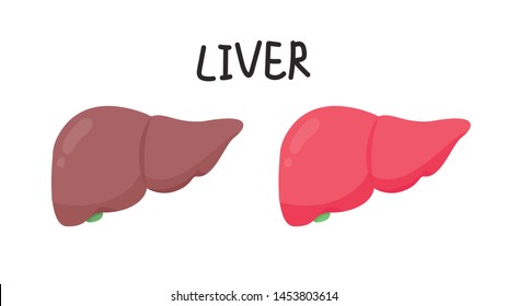 liver cartoon vector. wallpaper. free space for text. copy space.