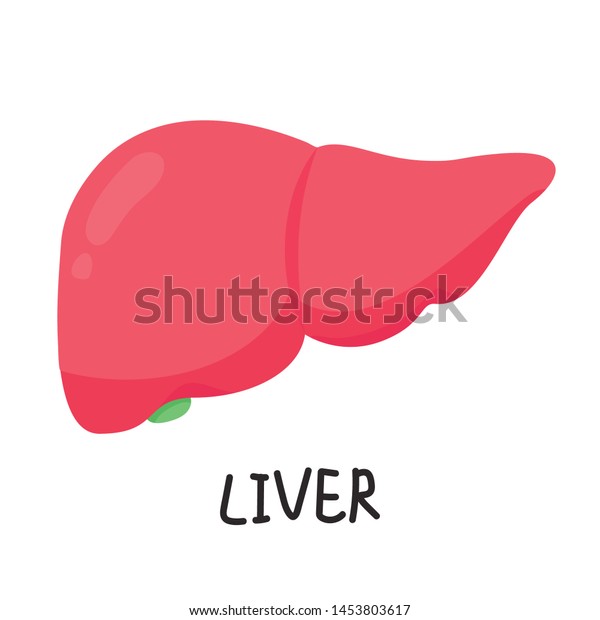 Liver Cartoon Vector Wallpaper Free Space Stock Vector (Royalty Free ...