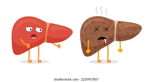 Liver character healthy and unhealthy comparison. Mascot good and bad condition. Cartoon exocrine system gland internal organ scared and illness sad. Strong and damaged insides. Vector illustration