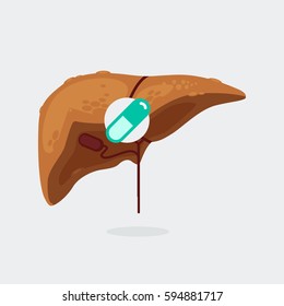 liver cirrhosis vector illustration