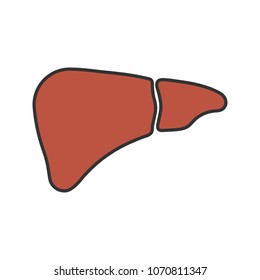 Liver color icon. Digestive gland. Isolated vector illustration