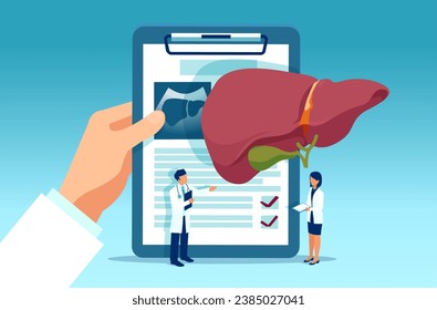 Liver disease and pathology lab exam concept. Vector of a doctor reviews medical tests result