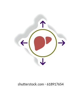 Liver disease Vector paper sticker various symptoms of Malaria on the liver