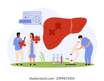 Liver diseases, hepatitis diagnosis and prevention vector illustration. Cartoon tiny people holding puzzle pieces for liver on infographic medicine diagram, recover and protect organ from infection