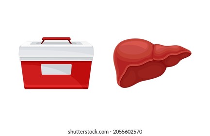 Liver Donor Organ And Cooler Box For Transporting Human Organs Cartoon Vector Illustration