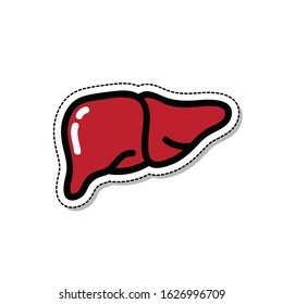 liver doodle icon, vector illustration